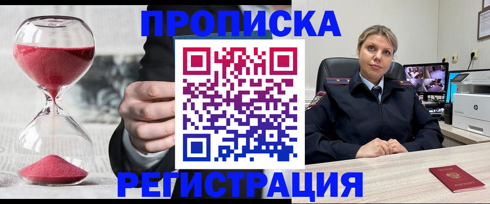 прописка поиск в Сольцах